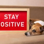 Strategies to Preserve Optimistic When Going via Difficulties in Life