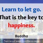 The Art work of Letting Go:Calmness and Stress-Free Residing